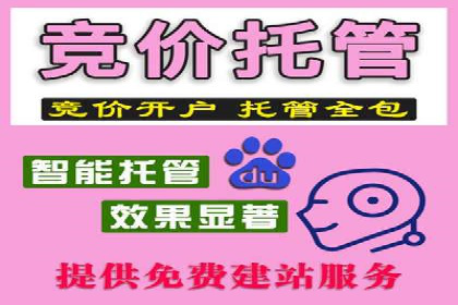 解读百度推广代运营公司运营策略
